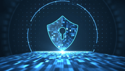 Network Image